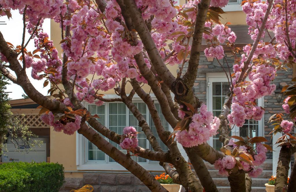 Villa Inn No.21 Seaside Qingdao Eksteriør bilde